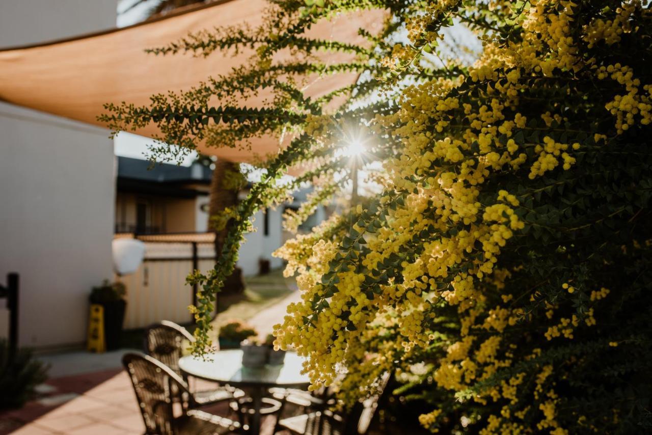 Inverell Terrace Motor Lodge Bagian luar foto